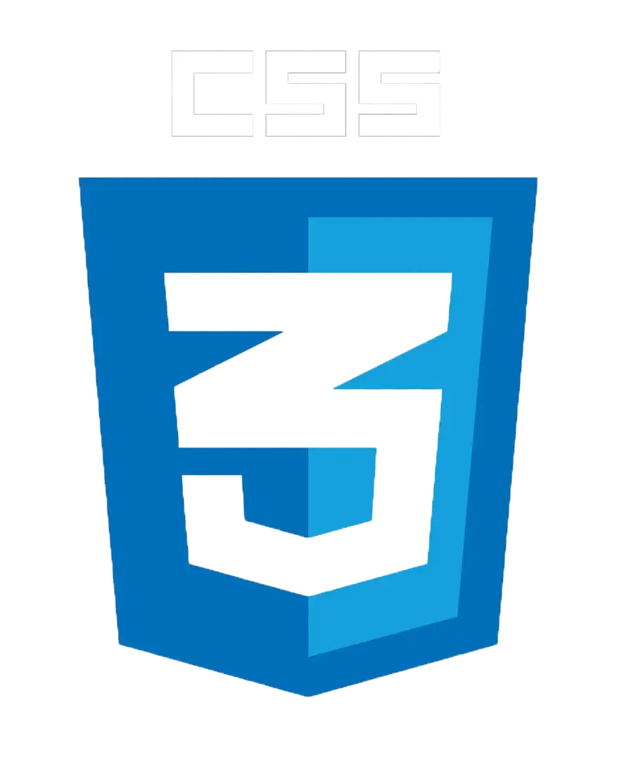 CSS Logo